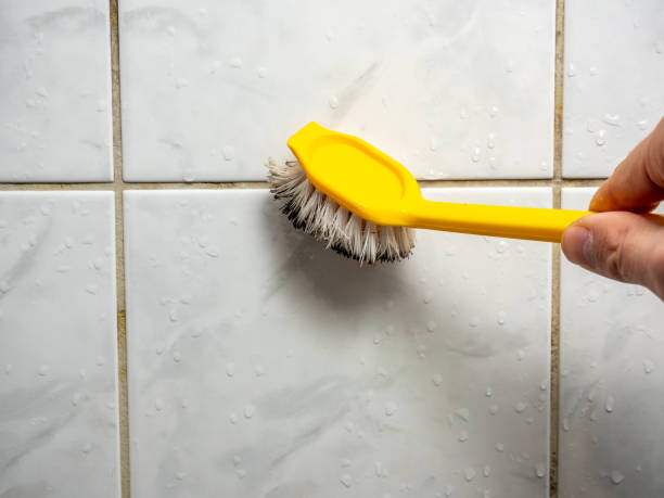 Best Residential Mold Removal  in Raymond, IL