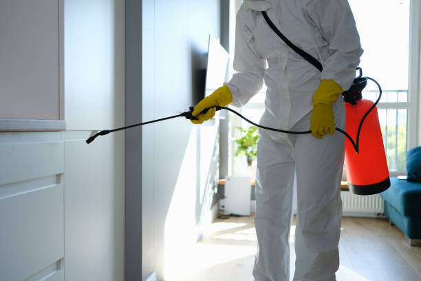 Best Mold Remediation  in Raymond, IL