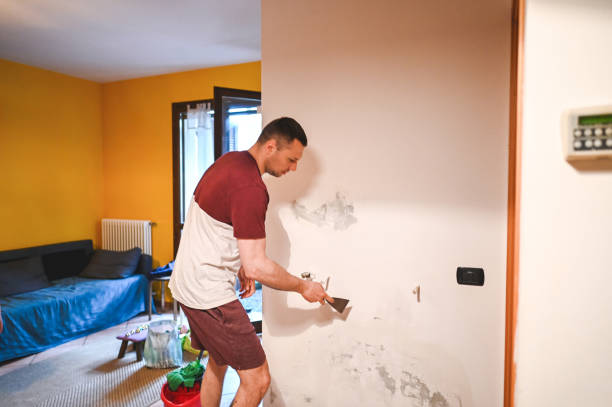 Professional Mold Removal in Raymond, IL